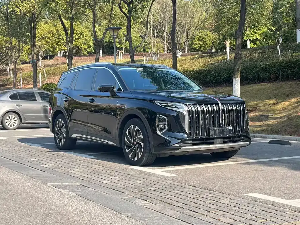 Hongqi HS7 PHEV 2024 из CN, фото 5