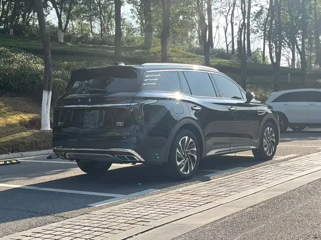 Hongqi HS7 PHEV 2024 из CN, фото 7