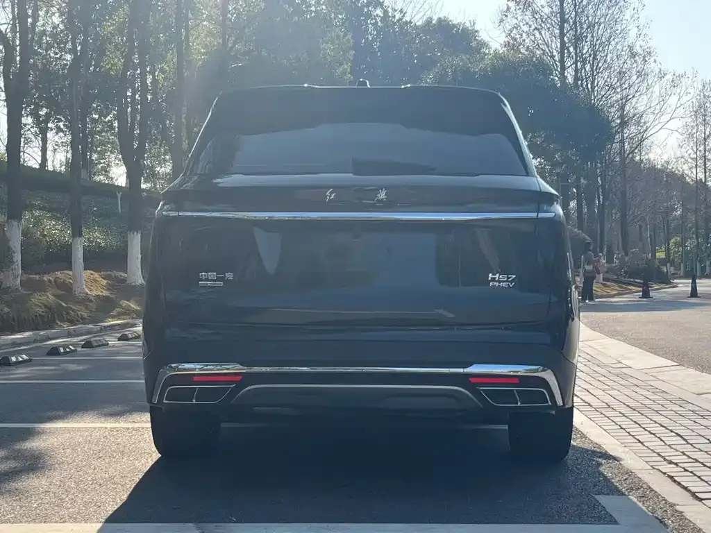 Hongqi HS7 PHEV 2024 из CN, фото 3