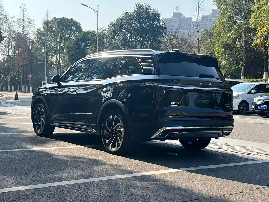 Hongqi HS7 PHEV 2024 из CN, фото 9