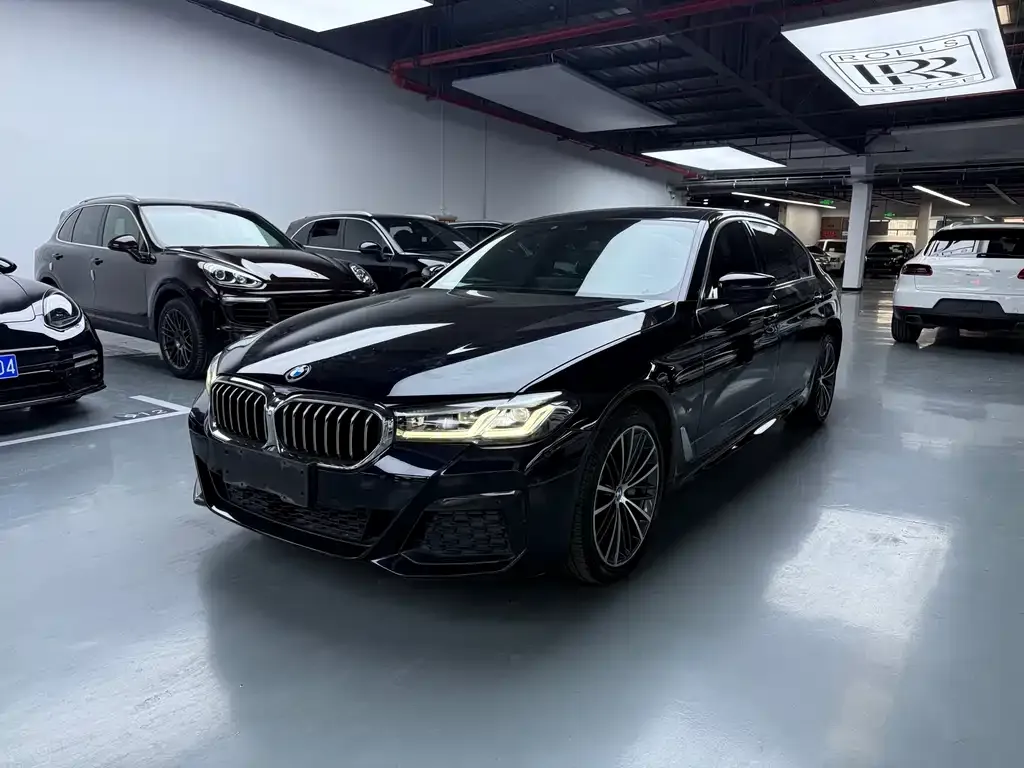 BMW 5 Series 2022 из CN, фото 1