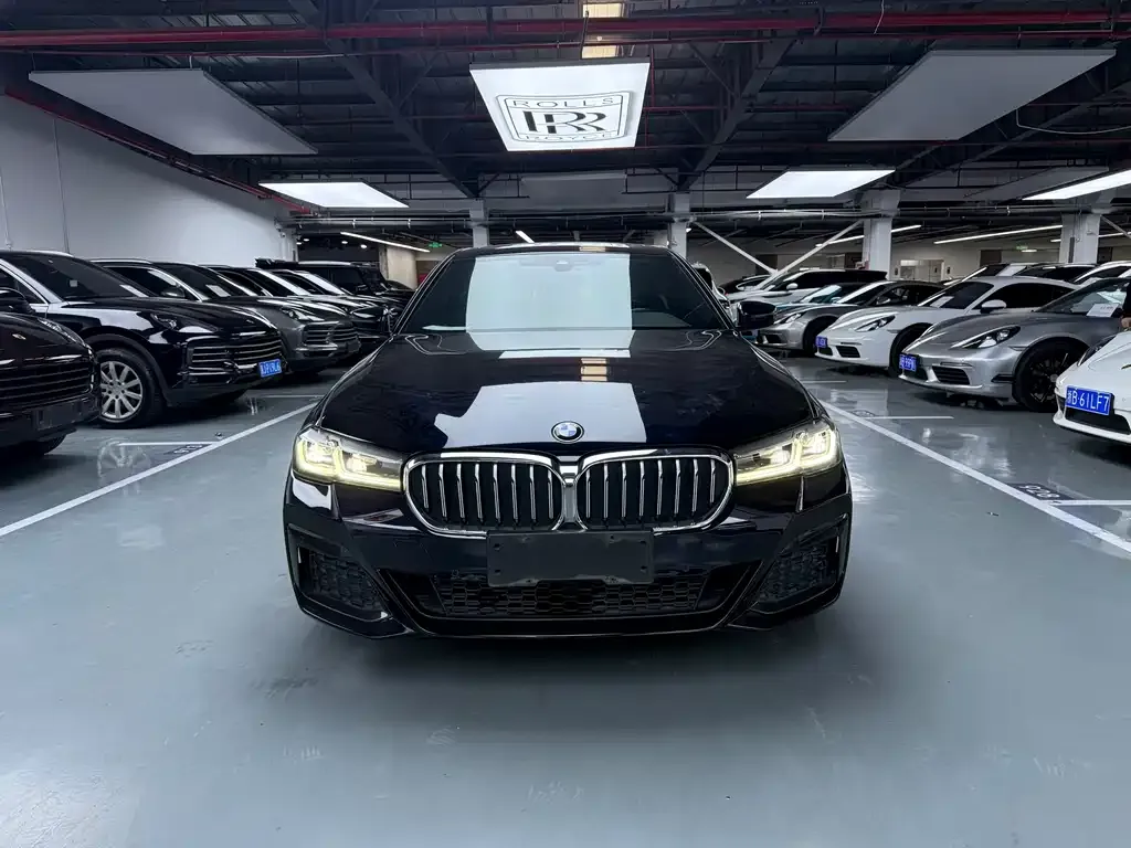 BMW 5 Series 2022 из CN, фото 2