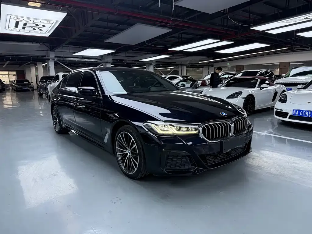 BMW 5 Series 2022 из CN, фото 3