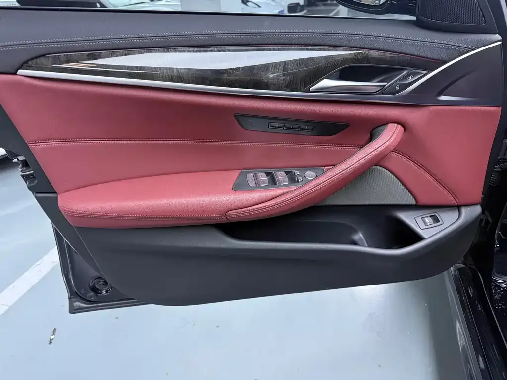 BMW 5 Series 2022 из CN, фото 6