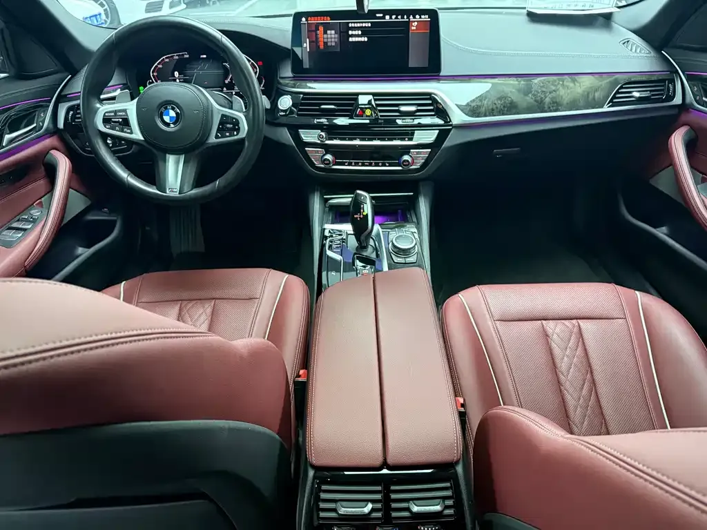 BMW 5 Series 2022 из CN, фото 8