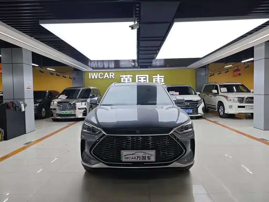 BYD PLUS New Energy 2023 из CN, фото 6