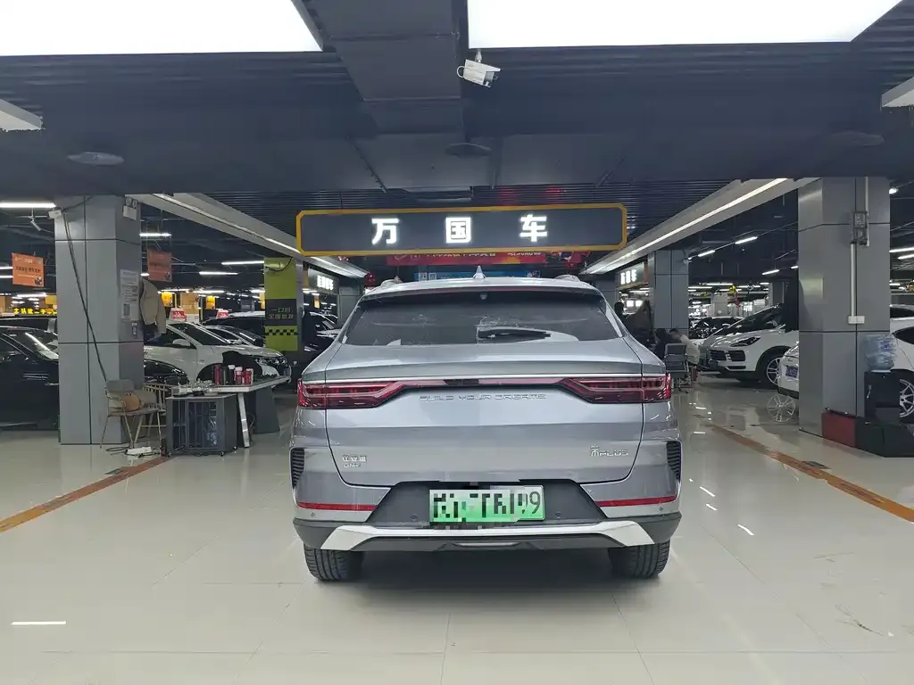 BYD PLUS New Energy 2023 из CN, фото 5