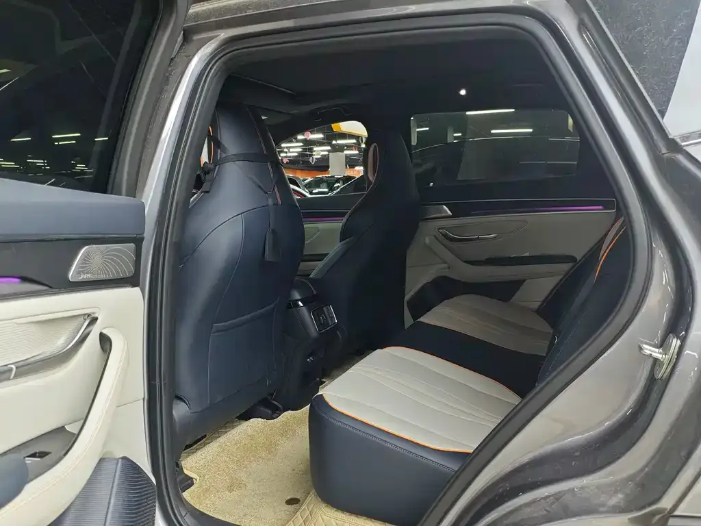 BYD PLUS New Energy 2023 из CN, фото 8