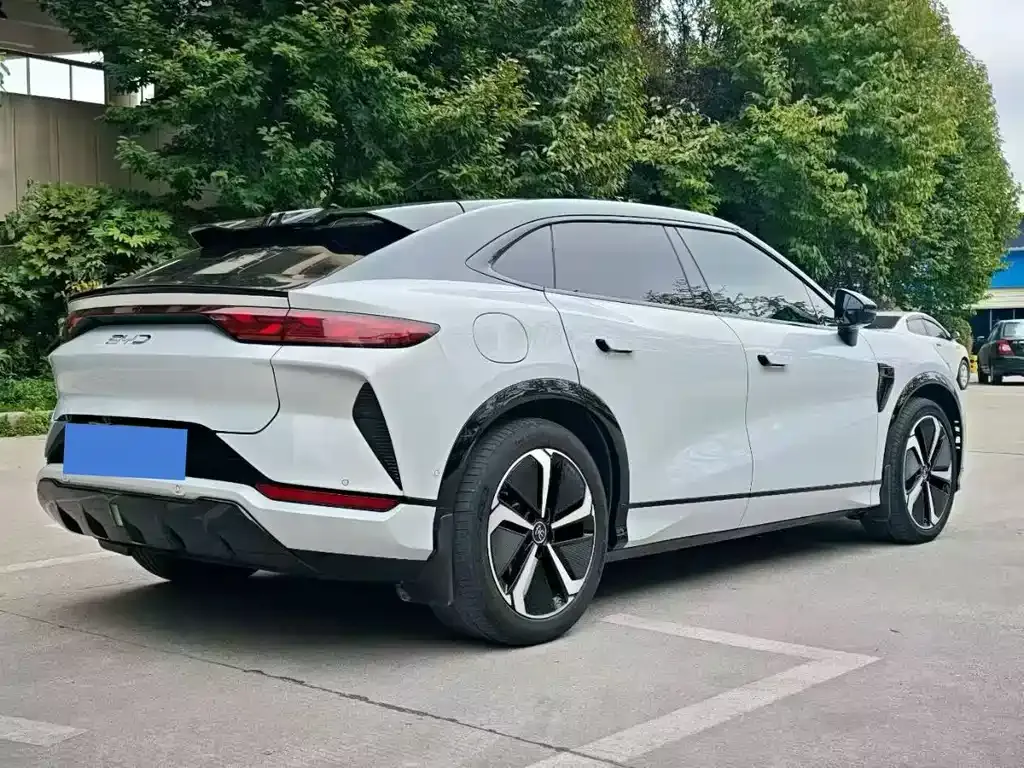 BYD L EV 2023 из CN, фото 6
