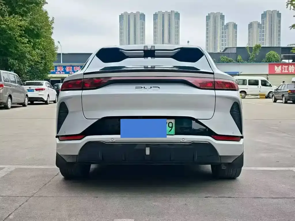 BYD L EV 2023 из CN, фото 3