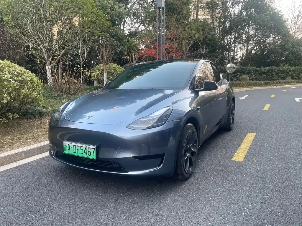 Tesla Model Y — фото 1