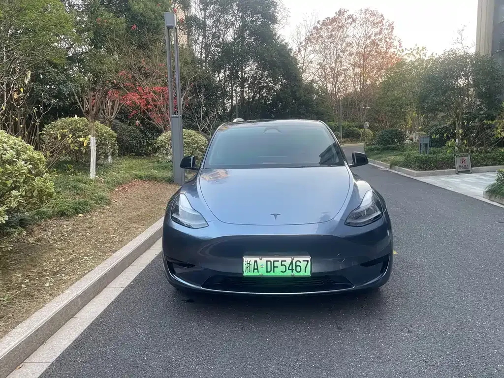 Tesla Model Y — фото 8