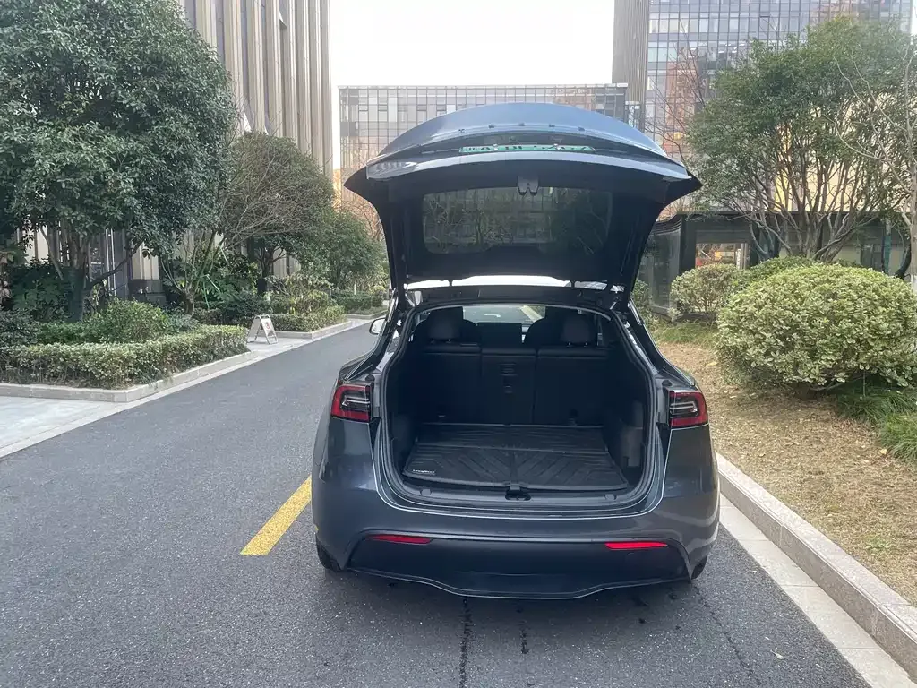Tesla Model Y — фото 6