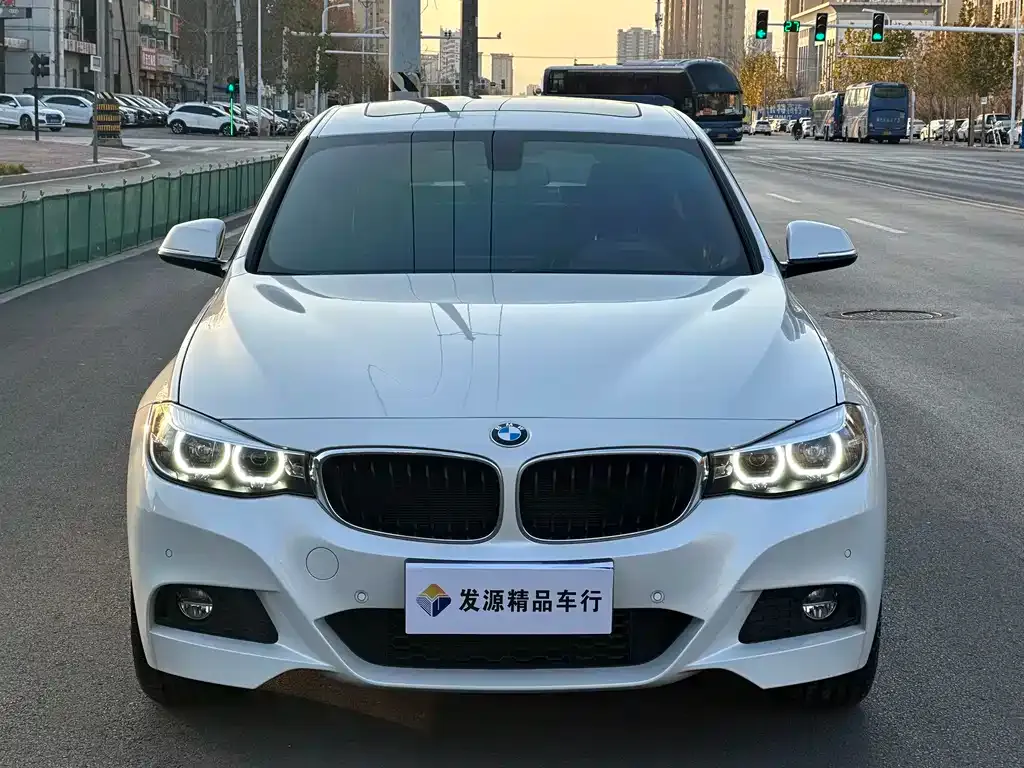 BMW 3 Series GT 2021 из CN, фото 7