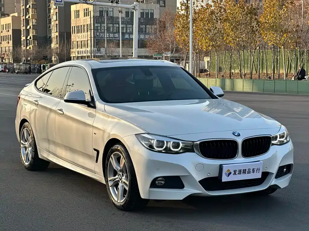 BMW 3 Series GT 2021 из CN, фото 9