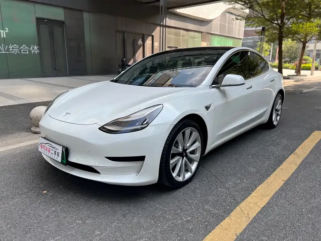 Tesla Model 3 2021 из CN, фото 1
