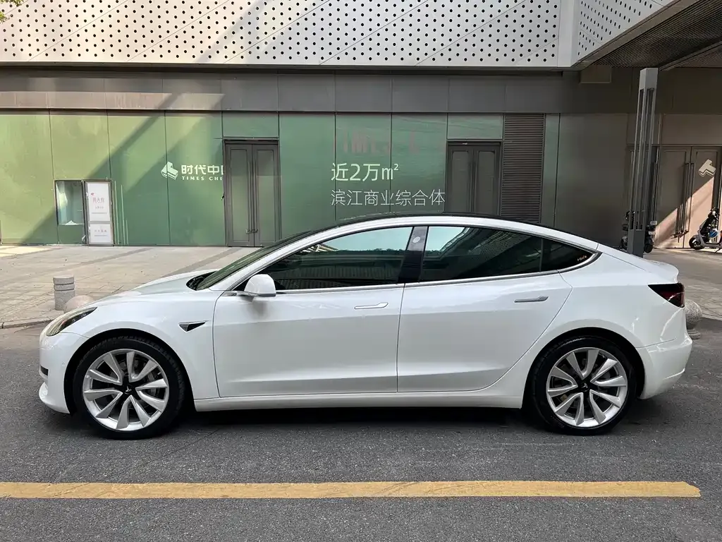 Tesla Model 3 2021 из CN, фото 6