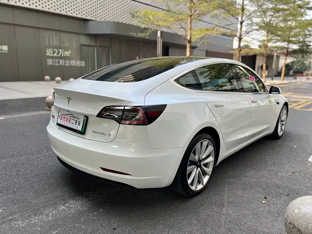 Tesla Model 3 2021 из CN, фото 3