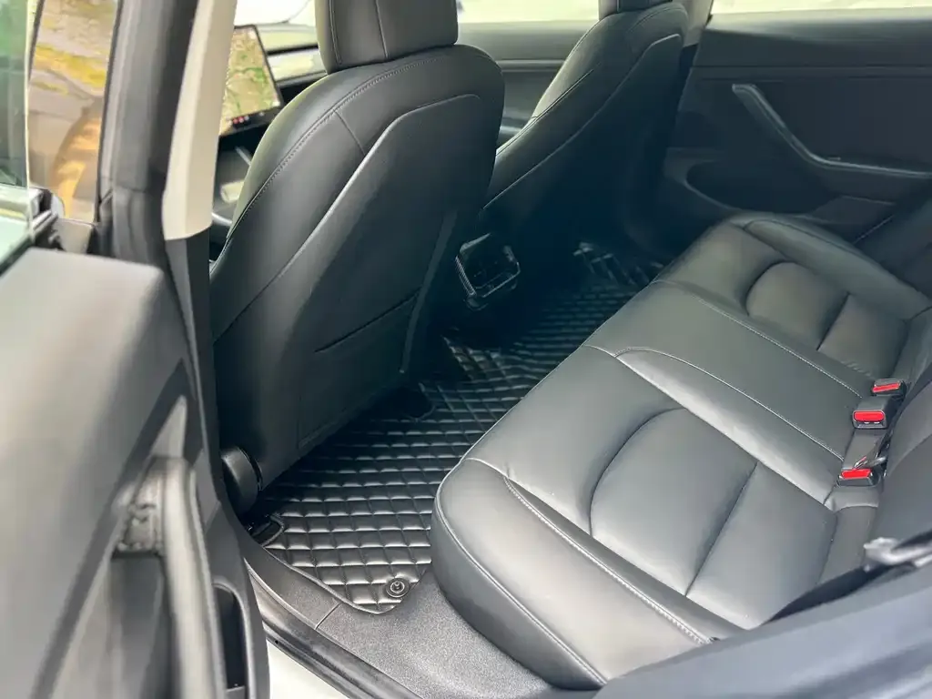 Tesla Model 3 2021 из CN, фото 2
