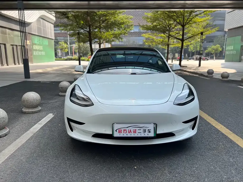 Tesla Model 3 2021 из CN, фото 7