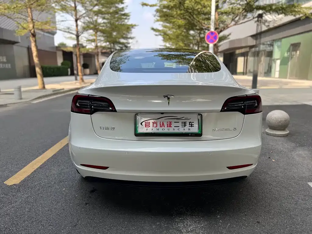 Tesla Model 3 2021 из CN, фото 8