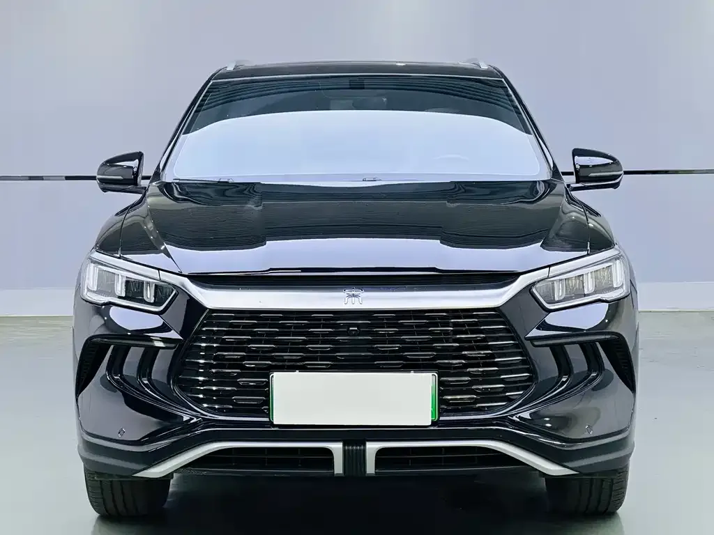 BYD Pro New Energy — фото 2