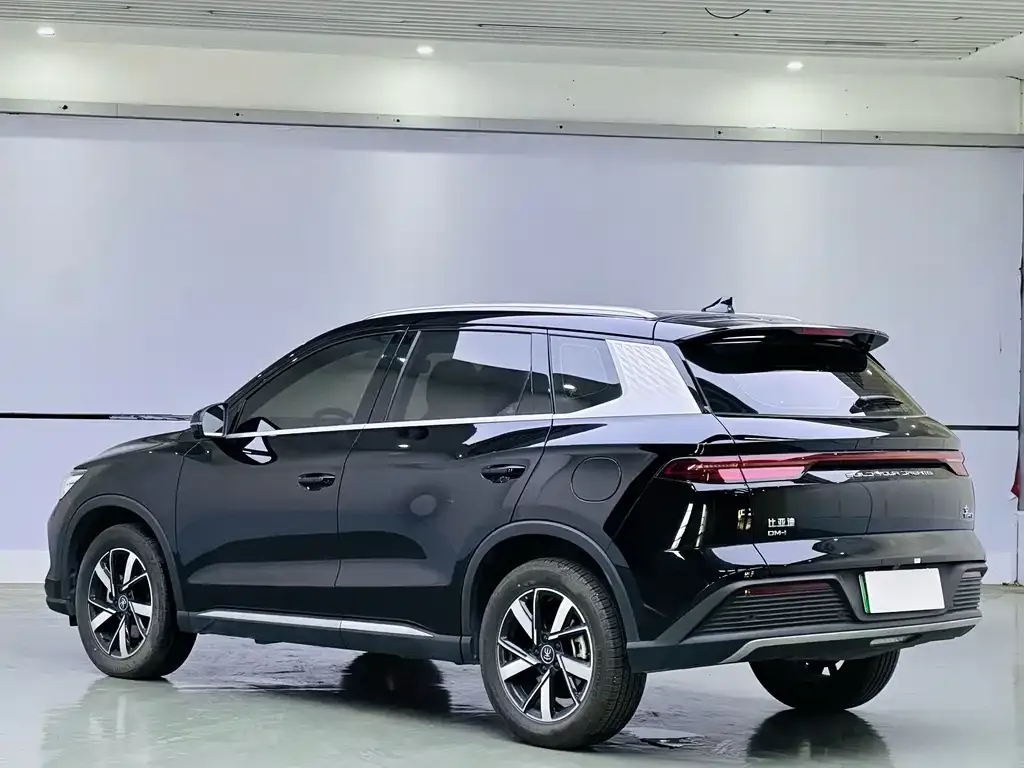 BYD Pro New Energy — фото 9