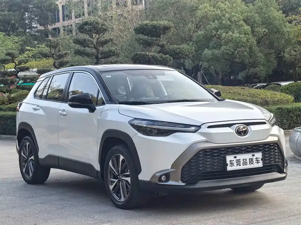 Toyota Frontlander 2022 из CN, фото 5
