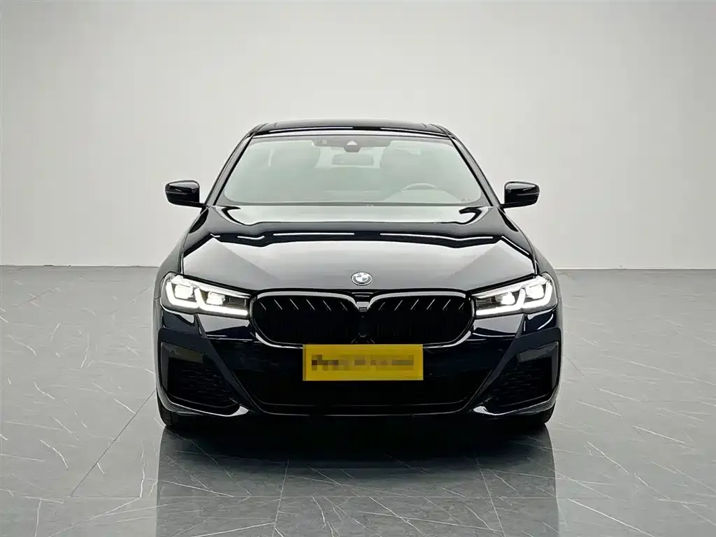 BMW 5 Series 2022 из CN, фото 6