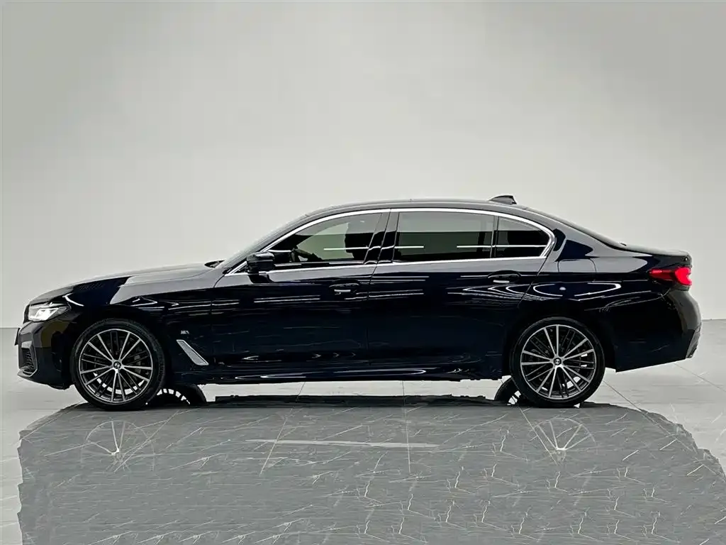BMW 5 Series 2022 из CN, фото 9
