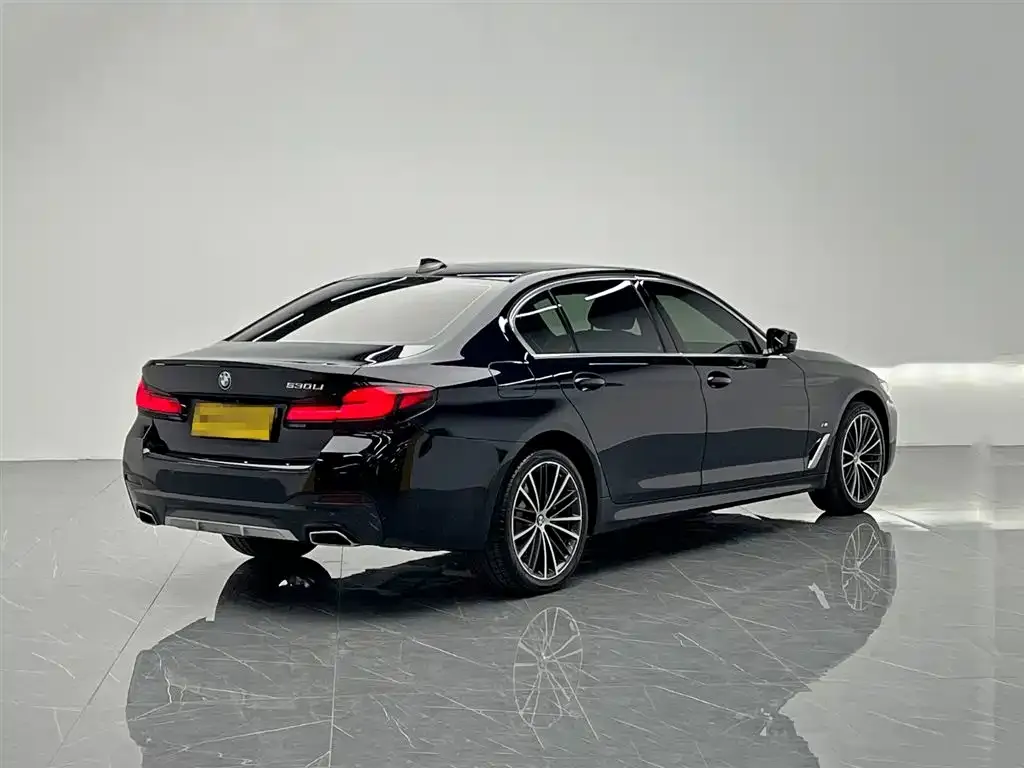 BMW 5 Series 2022 из CN, фото 7