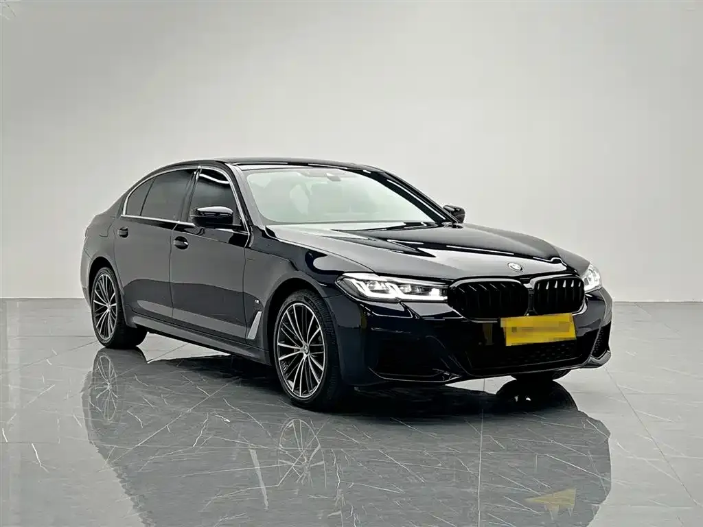 BMW 5 Series 2022 из CN, фото 8