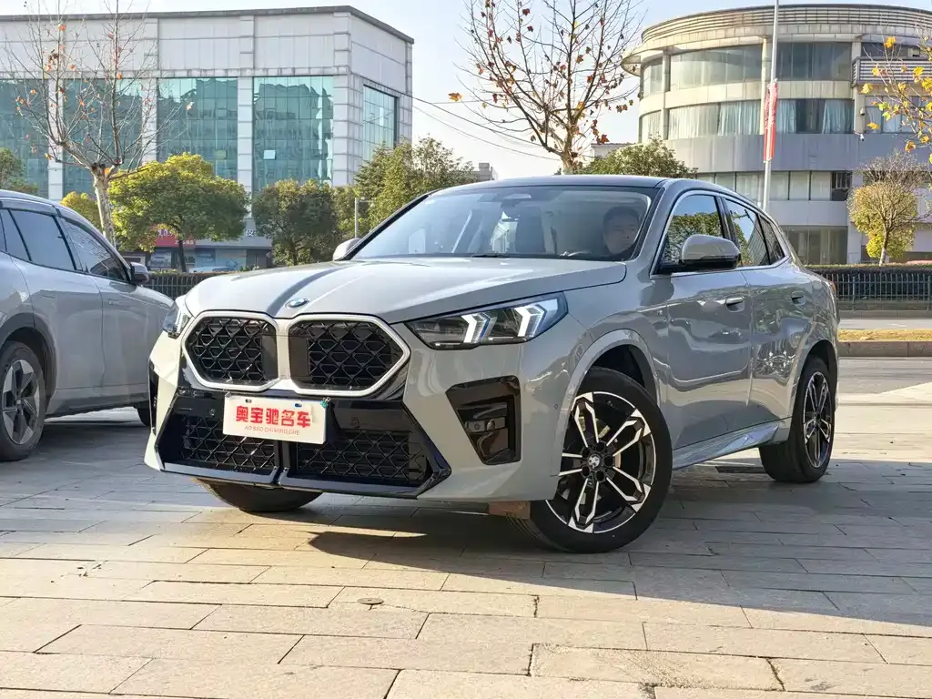 BMW X2 (Import) 2024 из CN, фото 1