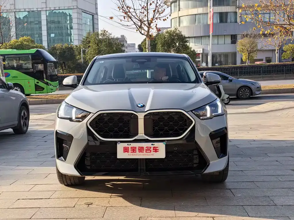 BMW X2 (Import) 2024 из CN, фото 5