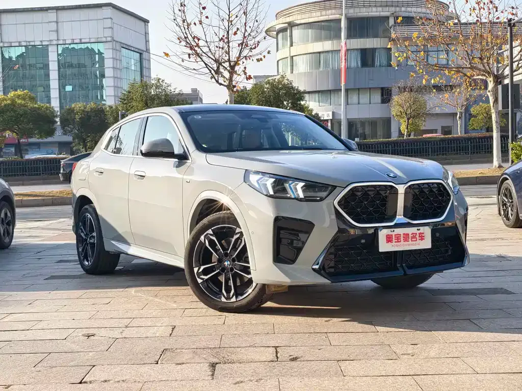 BMW X2 (Import) 2024 из CN, фото 8