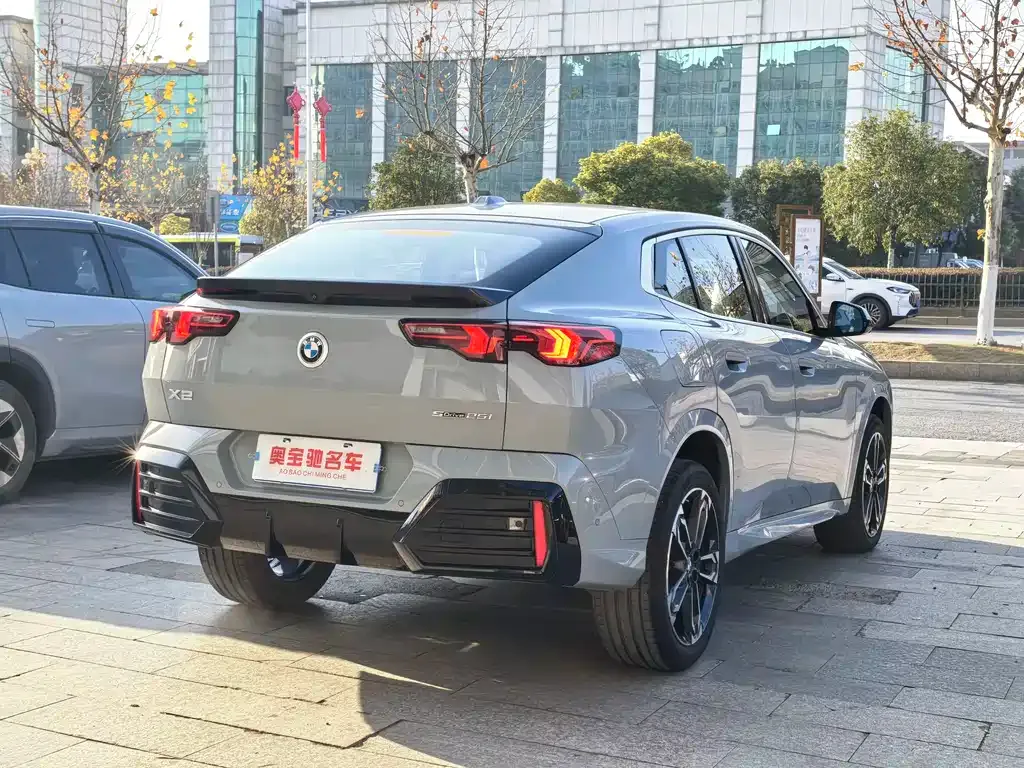BMW X2 (Import) 2024 из CN, фото 7
