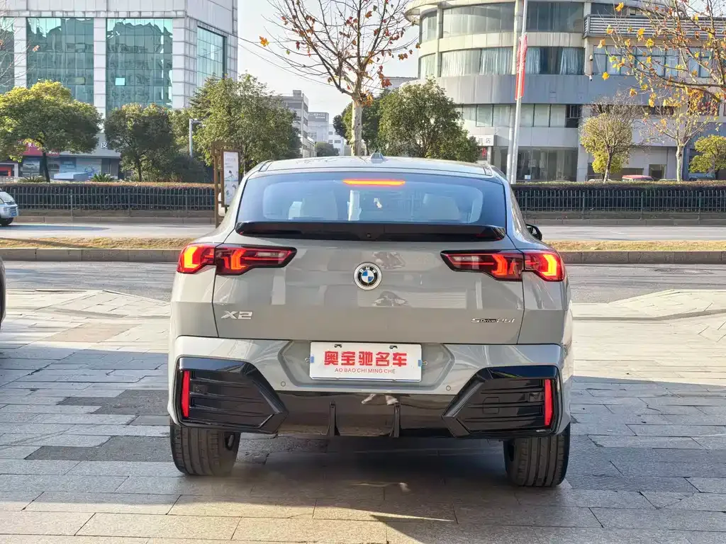 BMW X2 (Import) 2024 из CN, фото 9