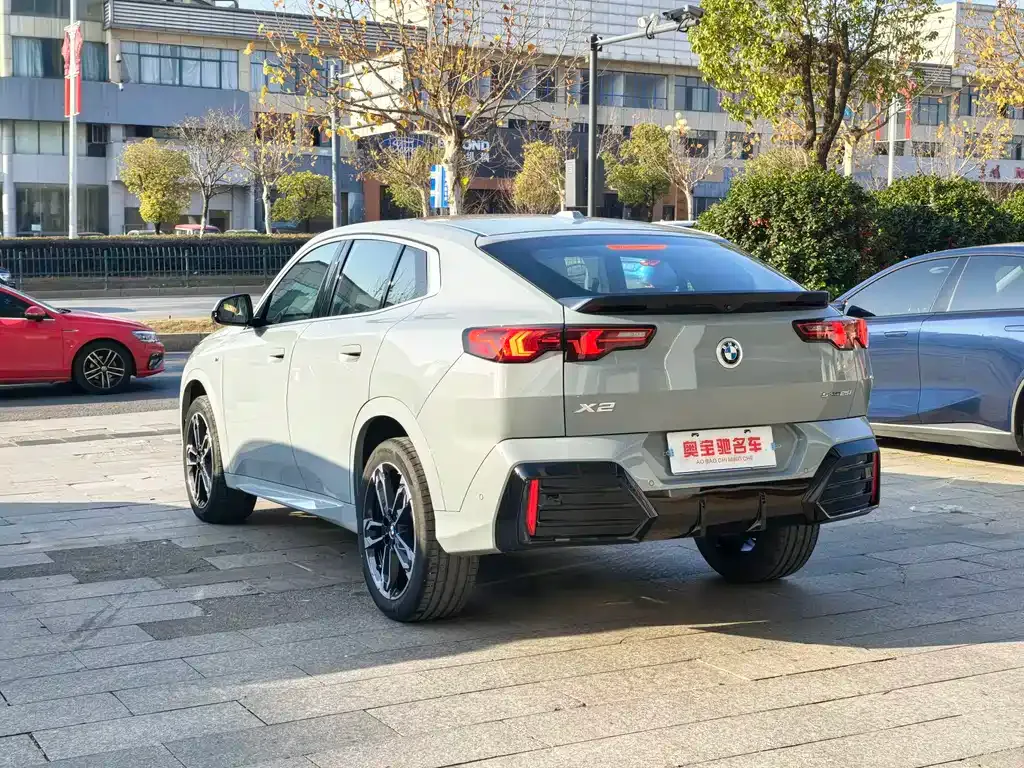 BMW X2 (Import) 2024 из CN, фото 10