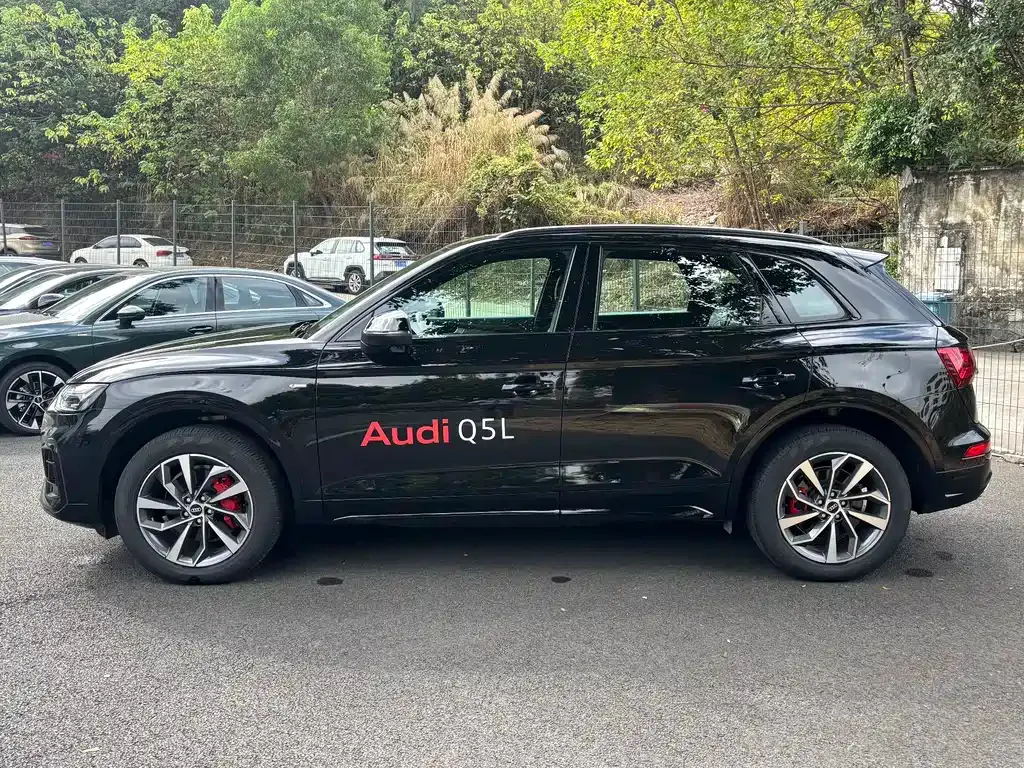 Audi Q5L — фото 10