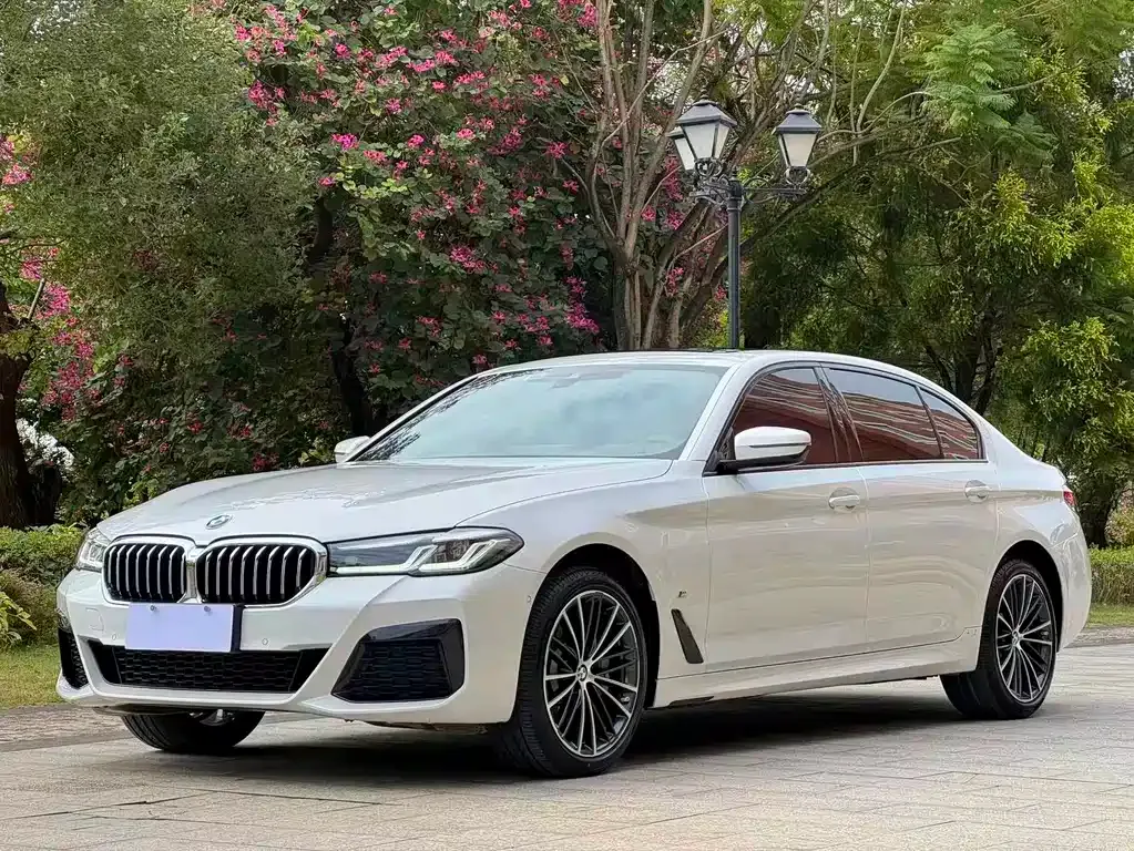 BMW 5 Series 2023 из CN, фото 1