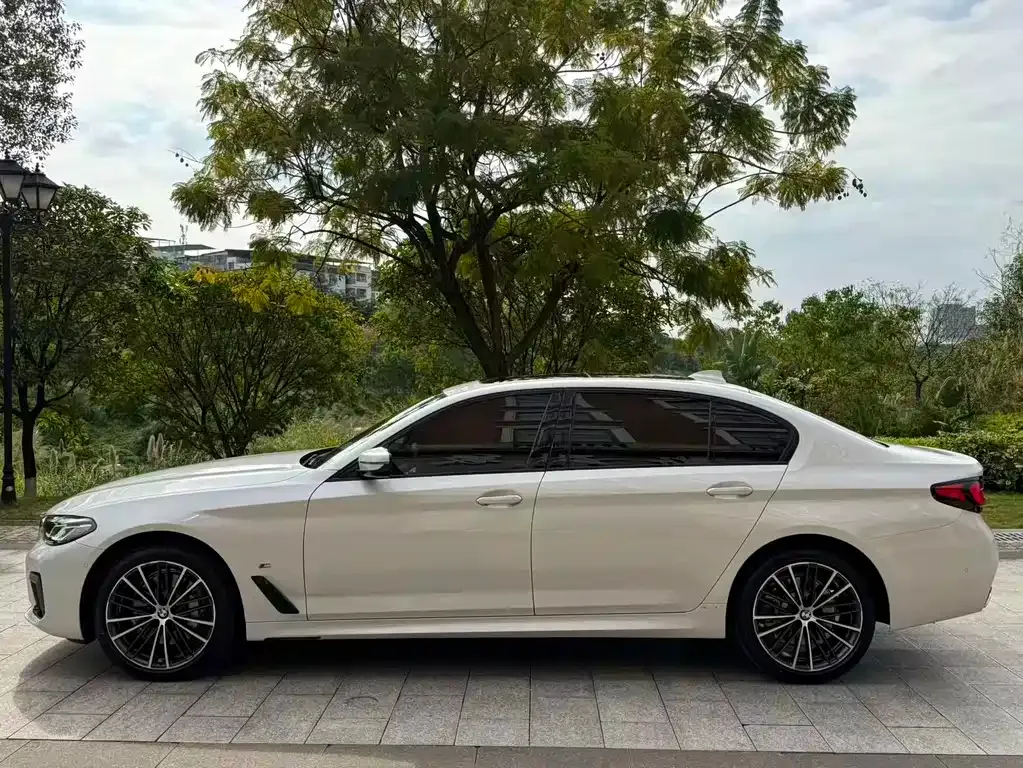 BMW 5 Series 2023 из CN, фото 7