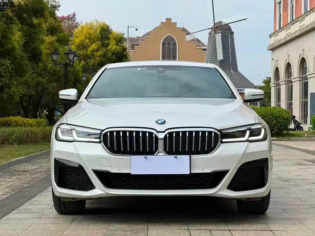 BMW 5 Series 2023 из CN, фото 4