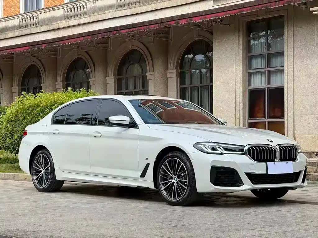 BMW 5 Series 2023 из CN, фото 5