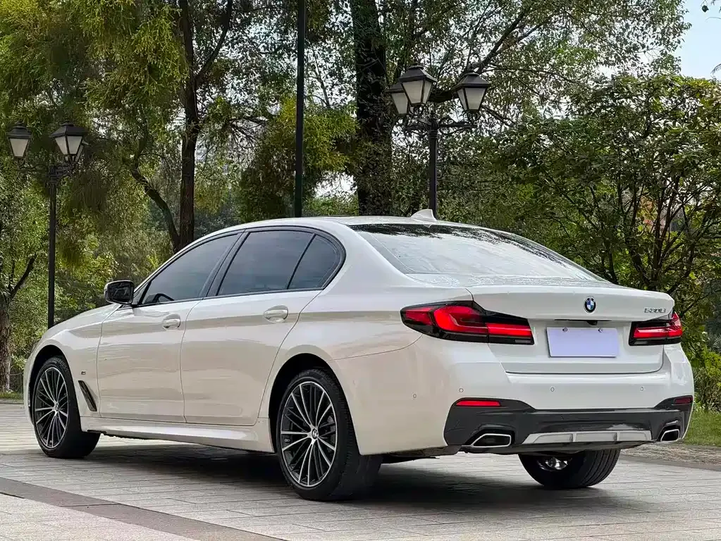 BMW 5 Series 2023 из CN, фото 10