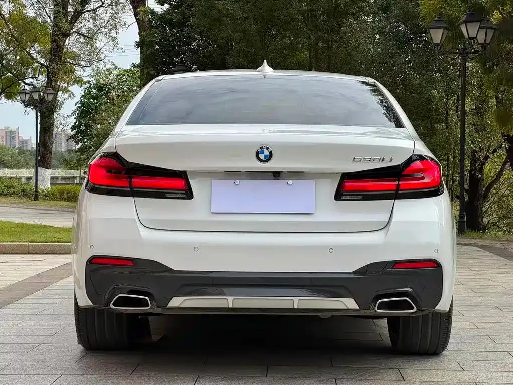 BMW 5 Series 2023 из CN, фото 3