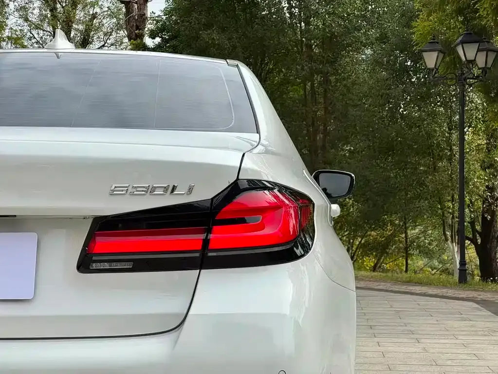 BMW 5 Series 2023 из CN, фото 6