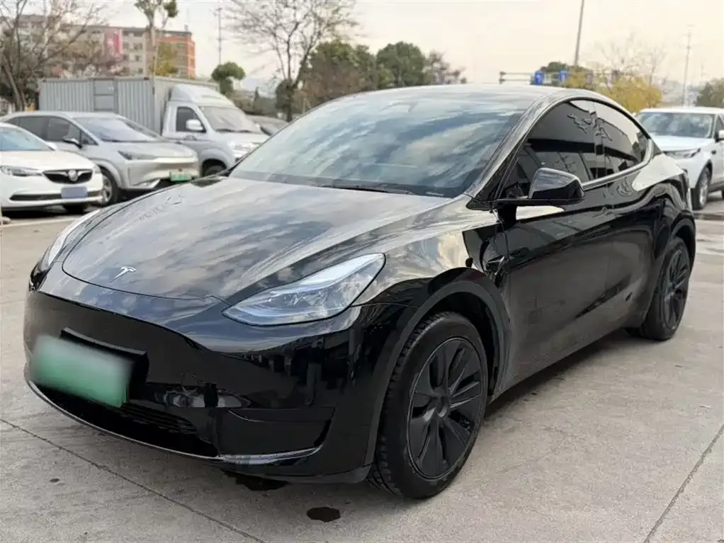 Tesla Model Y 2024 из CN, фото 6