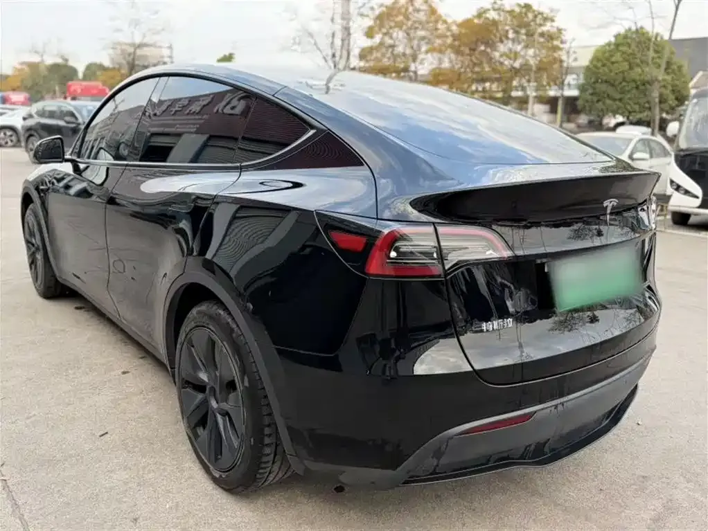 Tesla Model Y 2024 из CN, фото 9