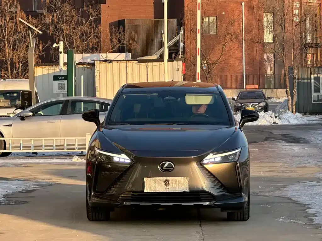 Lexus RZ 2023 из CN, фото 7