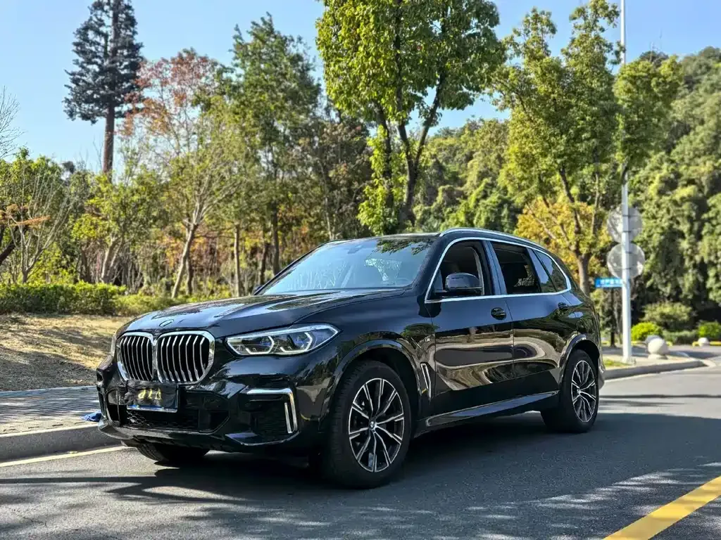 BMW X5 (Import) 2022 из CN, фото 1